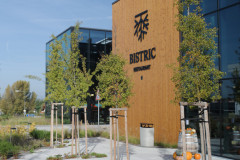 2_bistric_DSC_2078